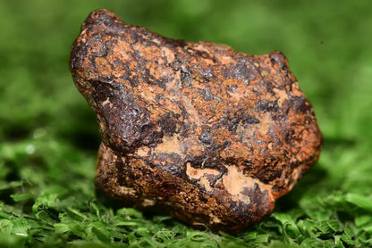 Meteorite NWA 14869 HED achondrite diogenite melt breccia 2.60 g - MeteoriteNwa.com