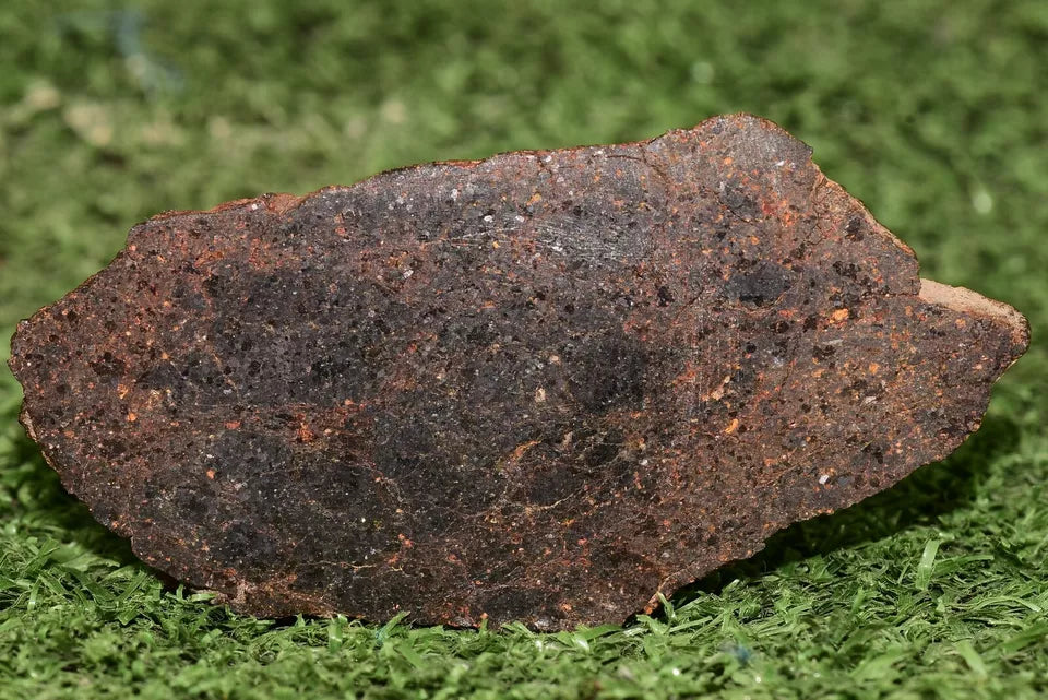 ULTRA RARE Meteorite Brachinite Achondrite NWA 11756 Slice 25.83 g - MeteoriteNwa.com
