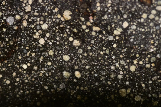 Meteorite Chondrite NWA 12858 RUMURUTI R3 65.9 G SLICE - MeteoriteNwa.com