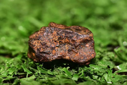 Meteorite NWA 14869 HED achondrite diogenite melt breccia 2.11 g - MeteoriteNwa.com