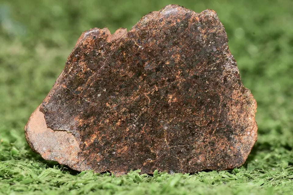 RARE CLASS Meteorite chondrite H7 NWA 14234 Endcut 30 grams - MeteoriteNwa.com