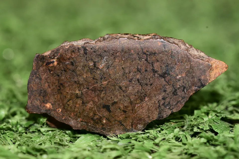 Meteorite Ungrouped achondrite NWA 13272 poikilitic igneous texture 3.15 g Slice - MeteoriteNwa.com