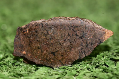 Meteorite Ungrouped achondrite NWA 13272 poikilitic igneous texture 3.15 g Slice - MeteoriteNwa.com