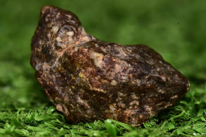 Meteorite NWA 12344 HED achondrite Eucrite, polymict 4.8 grams fragment - MeteoriteNwa.com