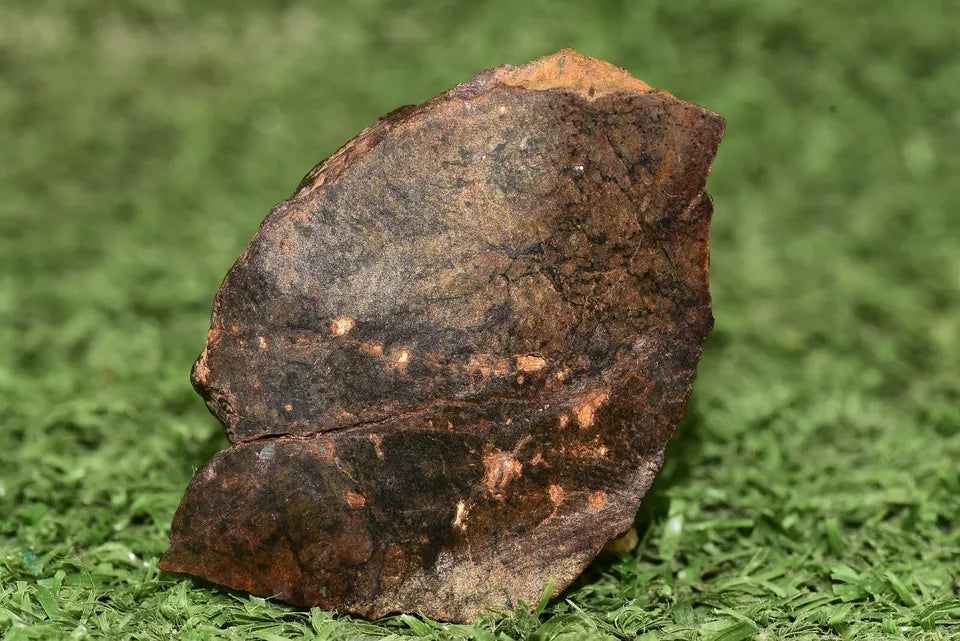 Meteorite Ungrouped achondrite NWA 13272 poikilitic igneous texture 18.67g Slice - MeteoriteNwa.com
