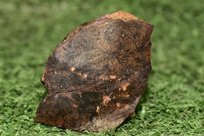 Meteorite Ungrouped achondrite NWA 13272 poikilitic igneous texture 18.67g Slice - MeteoriteNwa.com