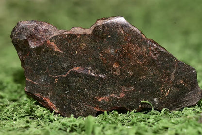 Meteorite Mesosiderite stony Iron NWA 14867 slice 8.2g - MeteoriteNwa.com