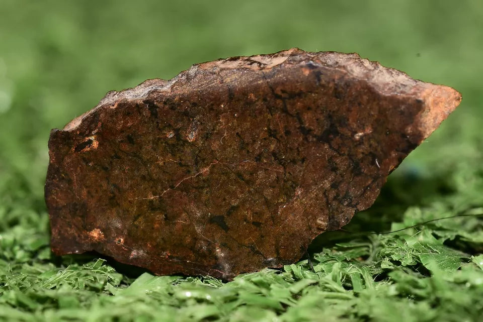 Meteorite Ungrouped achondrite NWA 13272 poikilitic igneous texture 3.15 g Slice - MeteoriteNwa.com