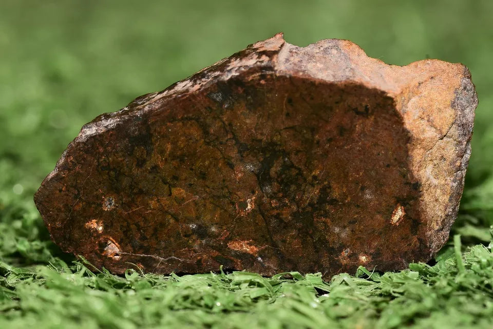 Meteorite Ungrouped achondrite NWA 13272 poikilitic igneous texture 9.54 g Slice - MeteoriteNwa.com