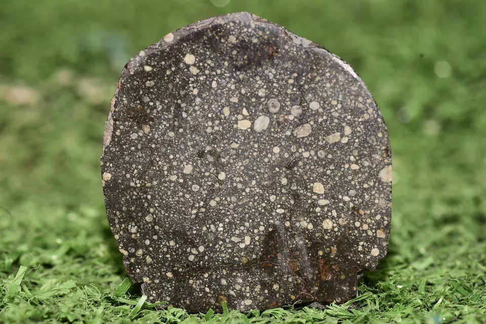Meteorite Chondrite NWA 12858 RUMURUTI R3 15.73 G SLICE - MeteoriteNwa.com