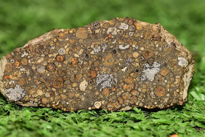 Meteorite CV3 Carbonaceous Chondrite NWA 14004 Endcut 12.85 G - MeteoriteNwa.com