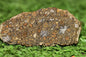 Meteorite CV3 Carbonaceous Chondrite NWA 14004 Endcut 12.85 G - MeteoriteNwa.com