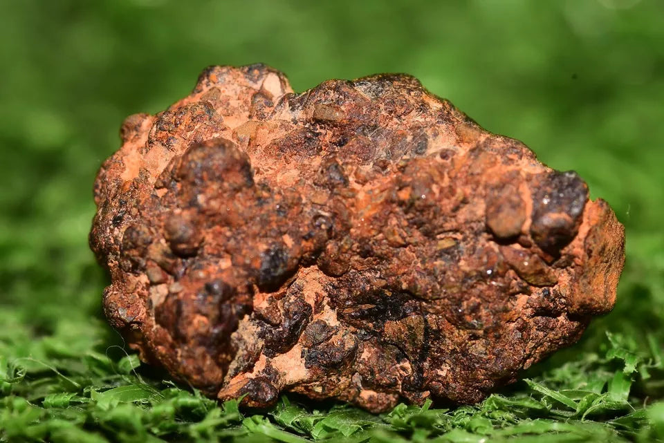 Diogenite Meteorite achondrite NWA 14869 HED melt breccia 4.10 g - MeteoriteNwa.com