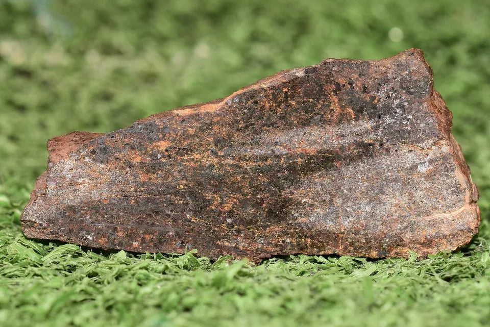 RARE CLASS Meteorite chondrite H7 NWA 14234 Slice 19.81 grams - MeteoriteNwa.com