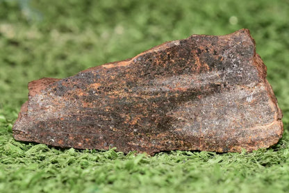 RARE CLASS Meteorite chondrite H7 NWA 14234 Slice 19.81 grams - MeteoriteNwa.com