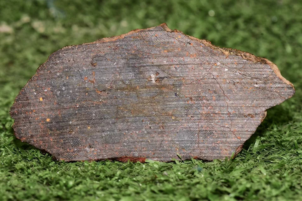 ULTRA RARE Meteorite Brachinite Achondrite NWA 11756 Slice 25.83 g - MeteoriteNwa.com