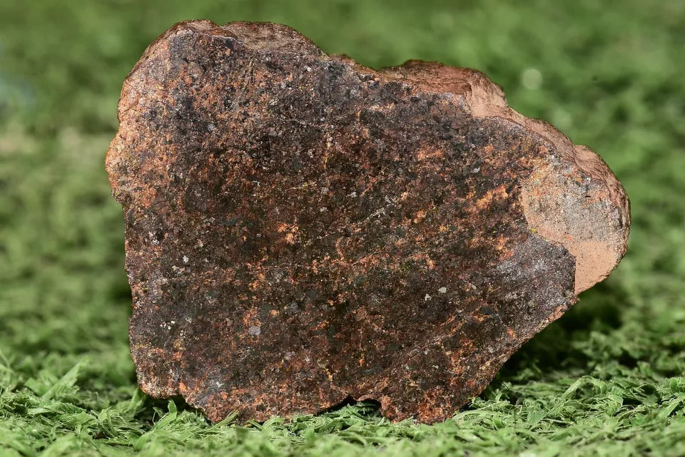 RARE CLASS Meteorite chondrite H7 NWA 14234 Endcut 30 grams - MeteoriteNwa.com