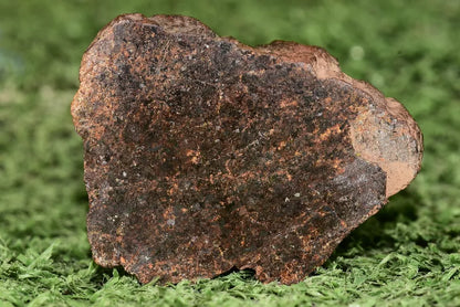 RARE CLASS Meteorite chondrite H7 NWA 14234 Endcut 30 grams - MeteoriteNwa.com