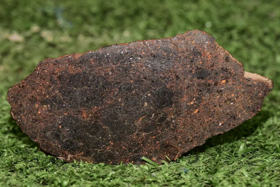 ULTRA RARE Meteorite Brachinite Achondrite NWA 11756 Slice 25.83 g - MeteoriteNwa.com