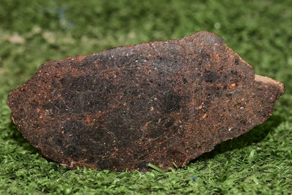 ULTRA RARE Meteorite Brachinite Achondrite NWA 11756 Slice 25.83 g - MeteoriteNwa.com