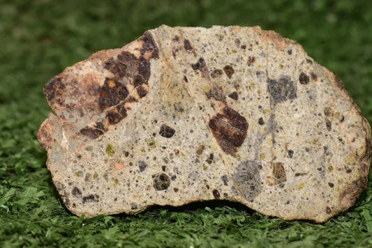 Meteorite Diogenite polymict NWA 14868 SLICE 49.44 grams - MeteoriteNwa.com