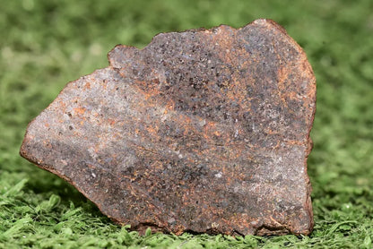 RARE CLASS Meteorite chondrite H7 NWA 14234 Slice 16.67 grams - MeteoriteNwa.com