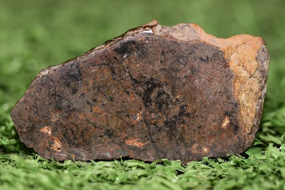 Meteorite Ungrouped achondrite NWA 13272 poikilitic igneous texture 9.54 g Slice - MeteoriteNwa.com