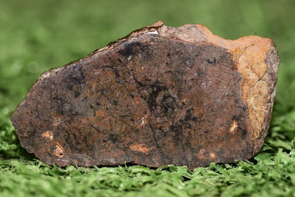 Meteorite Ungrouped achondrite NWA 13272 poikilitic igneous texture 9.54 g Slice - MeteoriteNwa.com