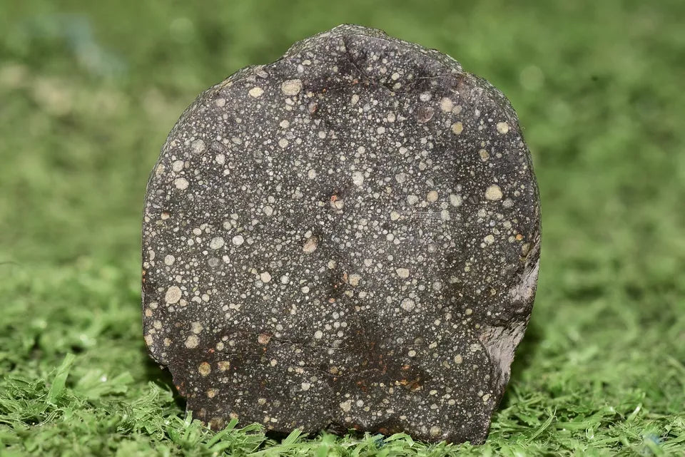 Meteorite Chondrite NWA 12858 RUMURUTI R3 15.73 G SLICE - MeteoriteNwa.com
