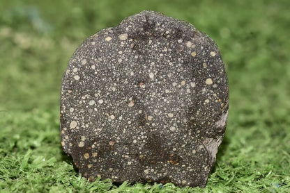 Meteorite Chondrite NWA 12858 RUMURUTI R3 15.73 G SLICE - MeteoriteNwa.com