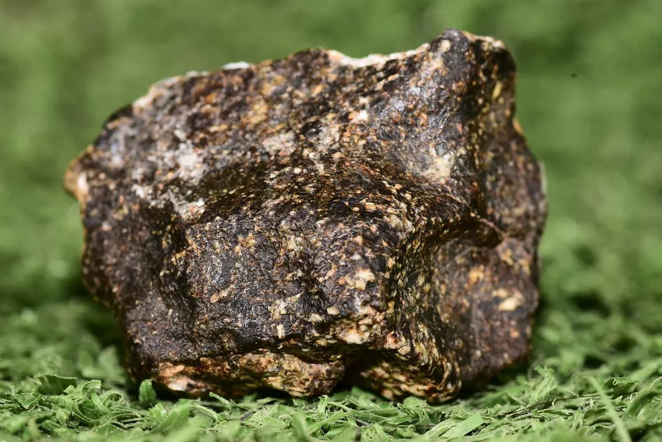 Meteorite Eucrite Brecciated NWA 14410 fragment 12.5 g - MeteoriteNwa.com