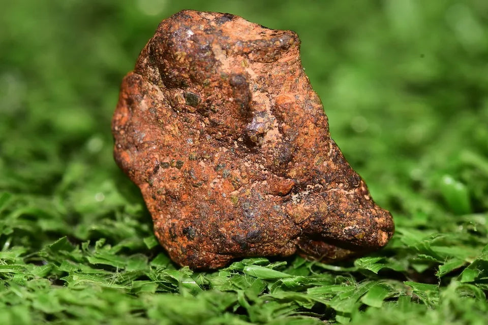 Meteorite NWA 14869 HED achondrite diogenite melt breccia 2.60 g - MeteoriteNwa.com