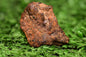 Meteorite NWA 14869 HED achondrite diogenite melt breccia 2.60 g - MeteoriteNwa.com