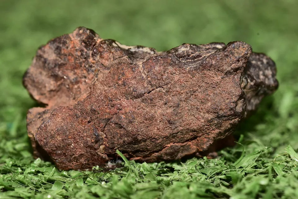 Meteorite Mesosiderite stony Iron NWA 14867 Endcut 30.7 g - MeteoriteNwa.com