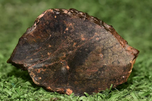Meteorite Ungrouped achondrite NWA 13272 poikilitic igneous texture 18.67g Slice - MeteoriteNwa.com