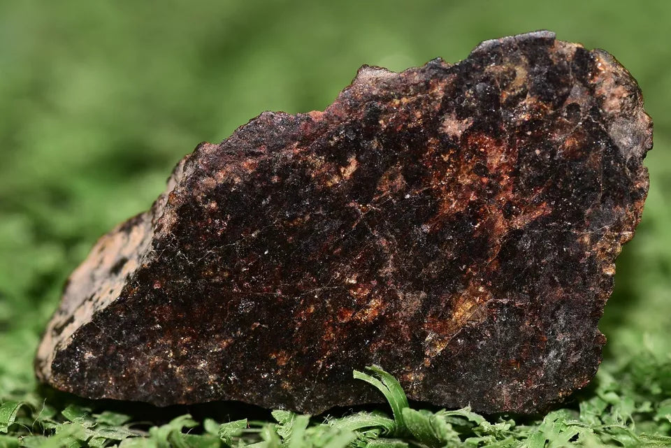 ULTRA RARE Meteorite Acapulcoite Achondrite Primitive Aydar ENDCUT 5.69 GRAMS - MeteoriteNwa.com