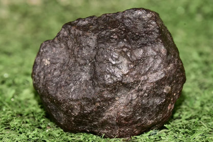 Meteorite chondrite Ordinary H4 NWA 14003 Complete fragment - 52.5g - MeteoriteNwa.com