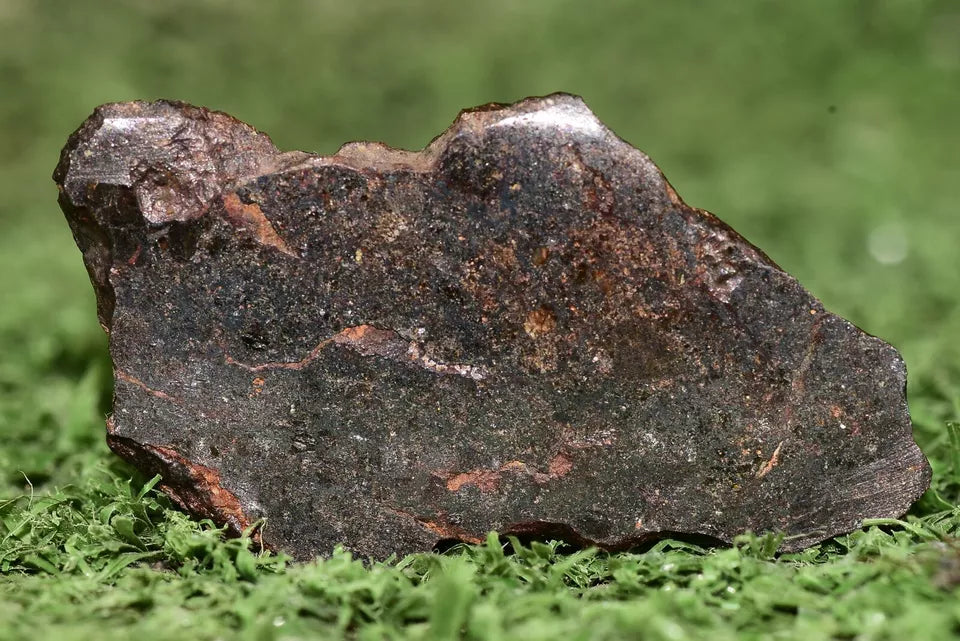 Meteorite Mesosiderite stony Iron NWA 14867 slice 8.2g - MeteoriteNwa.com