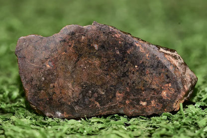 Meteorite Ungrouped achondrite NWA 13272 poikilitic igneous texture 9.54 g Slice - MeteoriteNwa.com