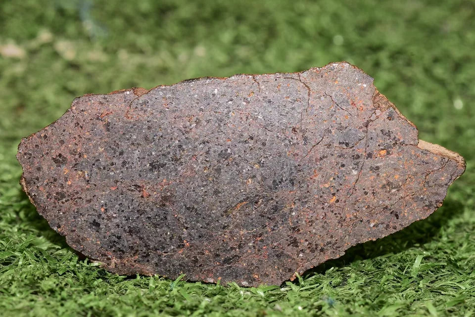 ULTRA RARE Meteorite Brachinite Achondrite NWA 11756 Slice 25.83 g - MeteoriteNwa.com