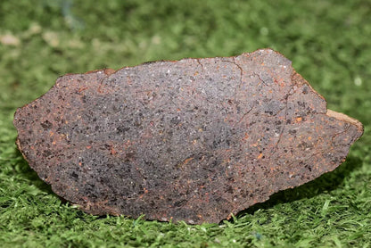 ULTRA RARE Meteorite Brachinite Achondrite NWA 11756 Slice 25.83 g - MeteoriteNwa.com