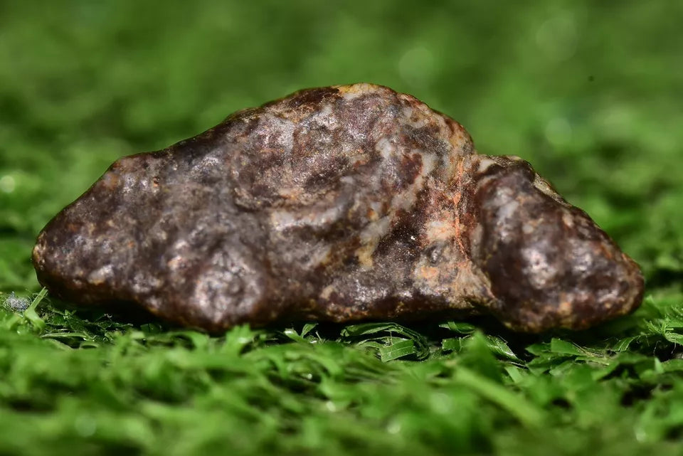 Meteorite NWA 12344 HED achondrite Eucrite, polymict 4.8 grams fragment - MeteoriteNwa.com