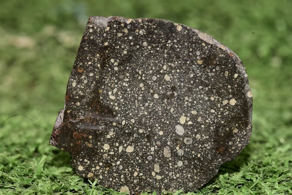 Meteorite Chondrite NWA 12858 RUMURUTI R3 15.73 G SLICE - MeteoriteNwa.com