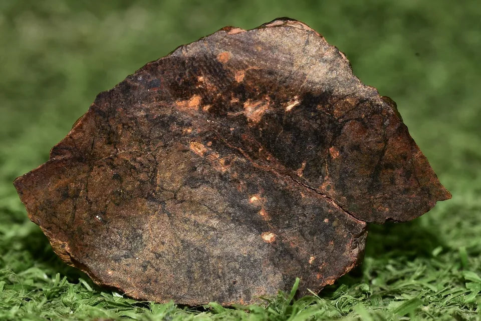 Meteorite Ungrouped achondrite NWA 13272 poikilitic igneous texture 18.67g Slice - MeteoriteNwa.com
