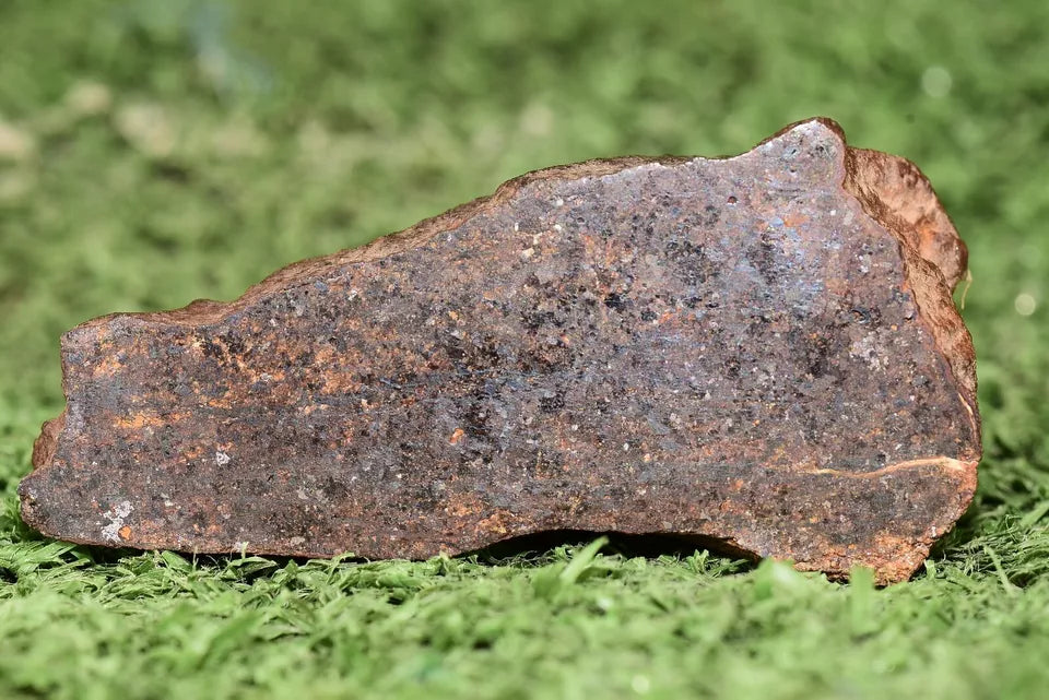 RARE CLASS Meteorite chondrite H7 NWA 14234 main Mass 77.5 grams - MeteoriteNwa.com