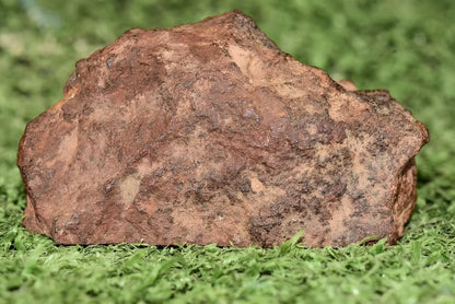 RARE CLASS Meteorite chondrite H7 NWA 14234 main Mass 77.5 grams - MeteoriteNwa.com
