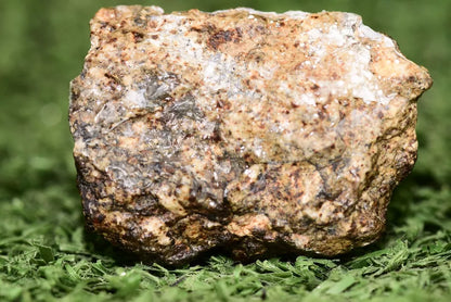 Meteorite Eucrite Brecciated NWA 14410 fragment 12.5 g - MeteoriteNwa.com