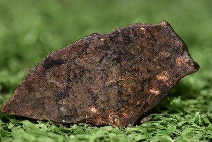 Meteorite Ungrouped achondrite NWA 13272 poikilitic igneous texture 3.15 g Slice - MeteoriteNwa.com