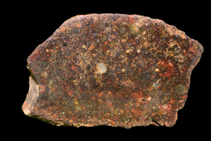Meteorite Chondrite L3 NWA 12341 With Amazing chondrules endcut 15.4 g - MeteoriteNwa.com