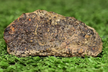 Meteorite CV3 Carbonaceous Chondrite NWA 14004 Endcut 12.85 G - MeteoriteNwa.com